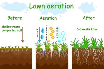 aeration graph