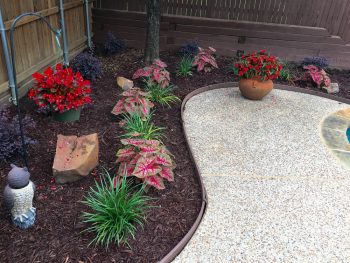 flower bed with mulch lanscaping coppell texas