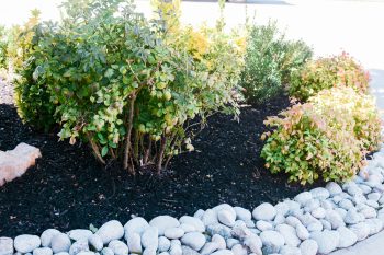 river rock border landscaping