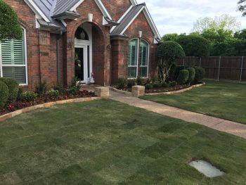 sod installation in Coppell Texas