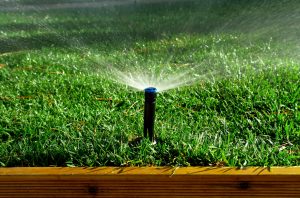 sprinkler-system