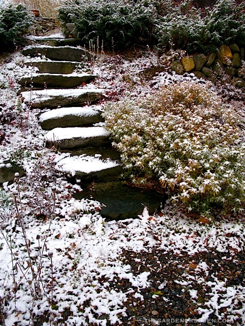 winter-landscaping