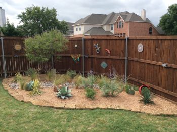 Xeriscaping